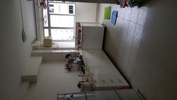 Blk 204 Petir Road (Bukit Panjang), HDB 4 Rooms #99532372